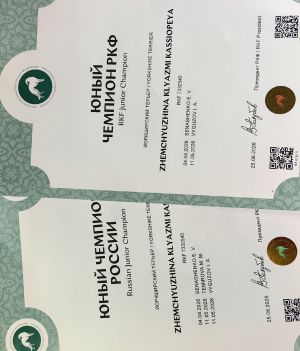 Документы РКФ от 21июля 2026г.