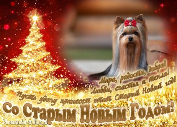 �������� ������� ����� �������� �������