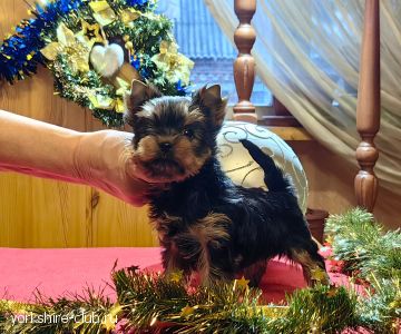 �������1, ������� 1 ���.3 ���. ���� �������� 25.10.25�